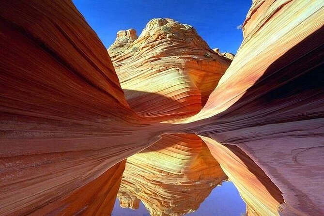 Blue Hole and Canyon by Bus With Camel Ride From Sharm El Sheikh - Booking Information