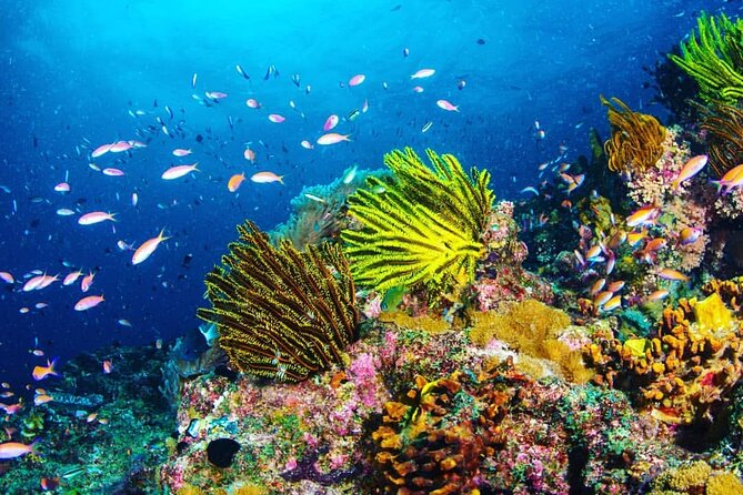 Blue Lagoon, Starfish Adventure, The Rock Restaurant, Spice Tour, Secret Garden - Unwinding in the Secret Garden