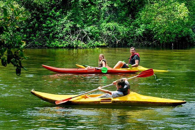 Boat Tour in Tissamaharama Lake - Additional Tour Info