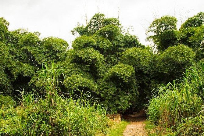 Bonsu Aboretum Canopy, Cocoa Research & Aburi Gardens - Pickup and Start Time Details