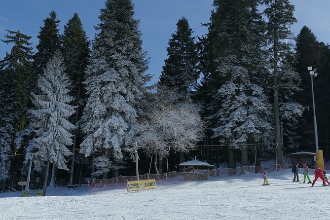 Borovets Transfers From/To Sofia Airport - Additional Service Details