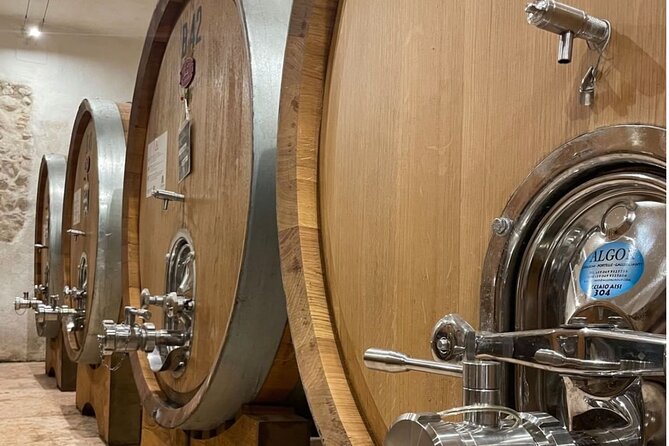 Boutique Winery Tour & Tasting in Valpolicella - Guided Cellar and Barrel Tour