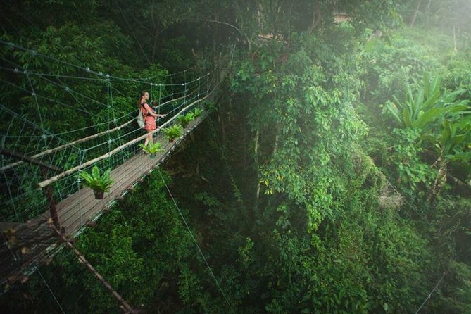 Bujumbura City Tour (Half Day) - Pricing and Cancellation Policy
