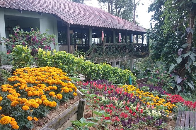 Bukit Tinggi French Village Tour - Start Time and End Point