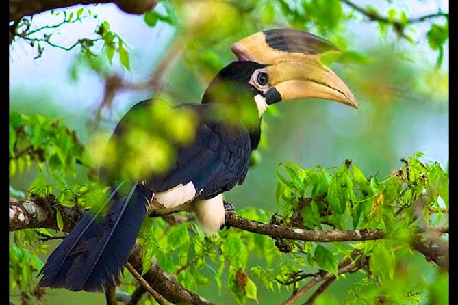 Bundala National Park Safari From Ahungalla - Additional Tour Information