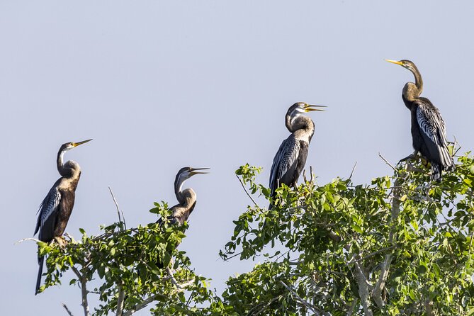 Bundala National Park Safari From Weligama - Cancellation Policy