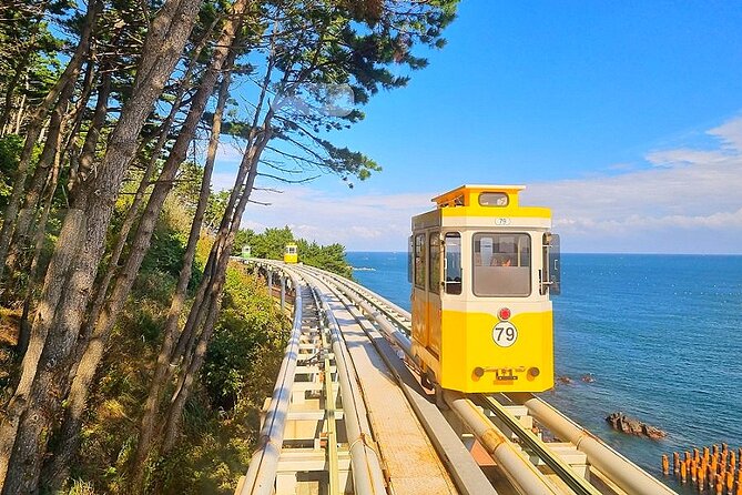 Busan Essential Private Tour With Heaedong Yonggungsa and Gamcheon Village - Reviews