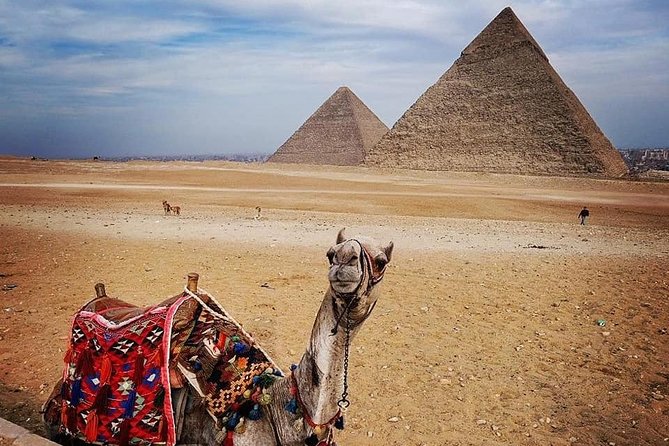 Cairo Layover Tours to the Pyramids and the Museum From Cairo Airport - Pricing and Payment Options