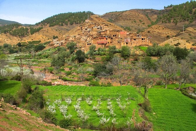 Camel Ride Day Trip in Atlas Mountains and Three Valleys Marrakech - Meeting and Pickup