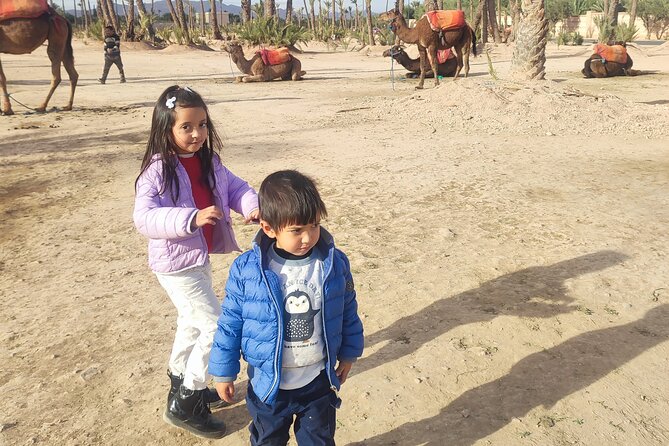 Camel Ride Experience in Palmeraie Marrakech With Tea Break - Pickup Information