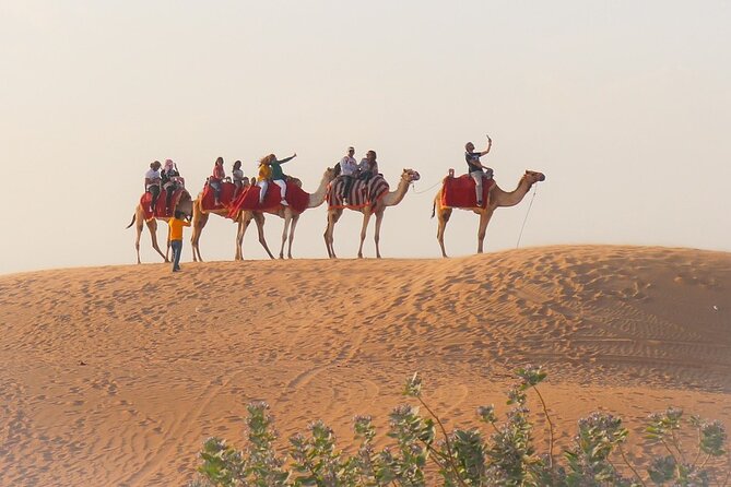 Camel Safari at Osian With Dinner From Jodhpur - Meeting and Pickup Details