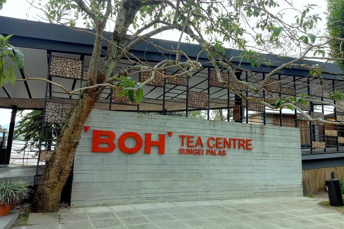 Cameron Highland Day Tour - Cancellation Policy