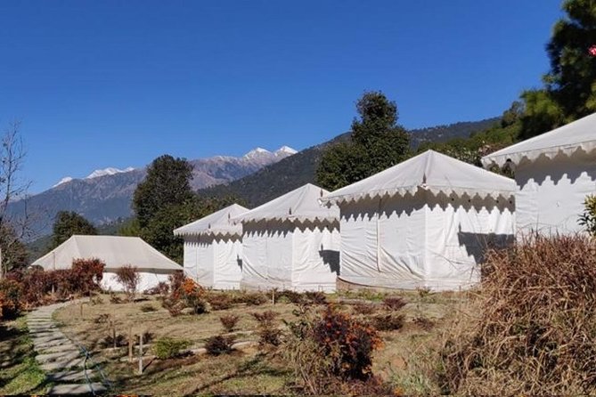 Camping in Bir Biling With Swiss Tent Stay - Additional Information