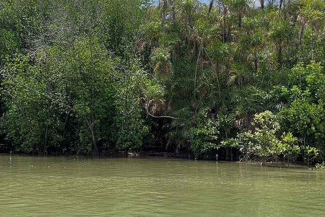 Can Gio Mangrove Forest And Thanh An Island Private Tour - Pricing Information