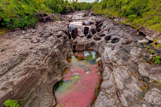 Caño Cristales Private 3-Day Trekking Tour From Bogota - Pricing and Cancellation Policy