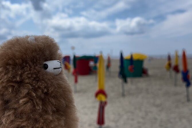 Chanel Deauville Day Tour From Paris With Oyster Tasting - Booking Process