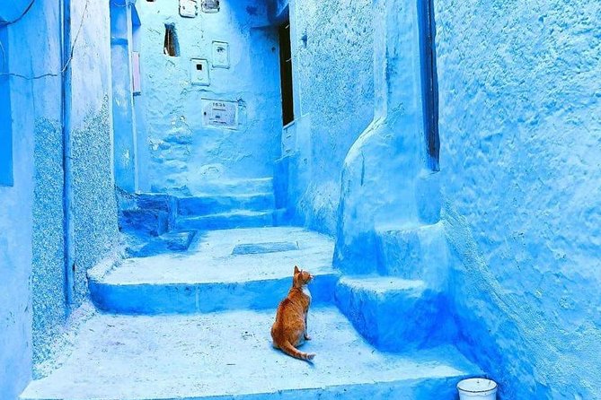 Chefchaouen Day Trip From Fez ( Small Group ) - Cancellation Policy Details