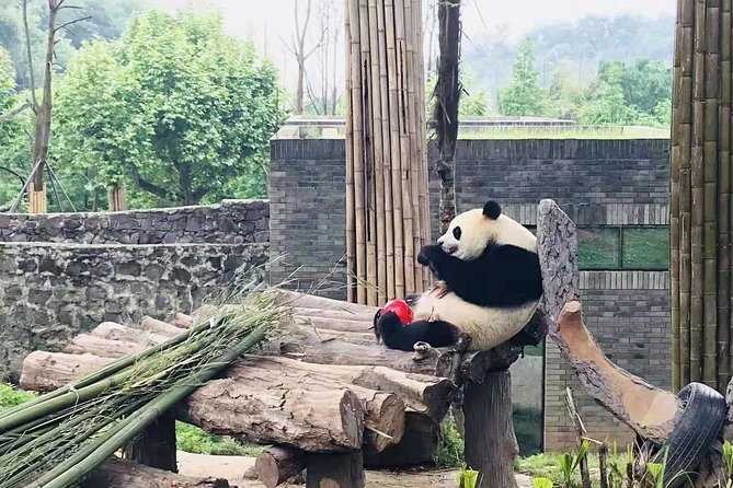 Chengdu Day Trip of Giant Panda and Local Culture Experience - Price Details