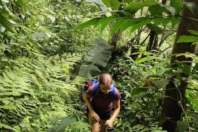 Chiangmai Sunrise Hike - Booking and Experience Information