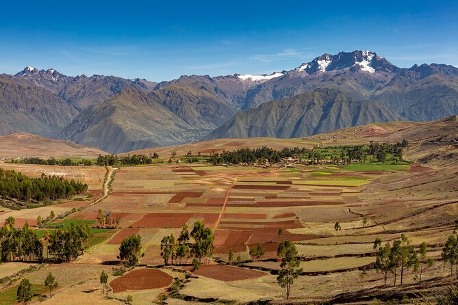 Chinchero, Moray, Maras & Picnic With Llamas and Alpacas - Transportation and Logistics