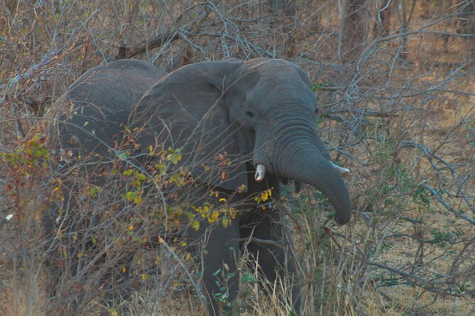 Chobe National Park Camping Safari From Victoria Falls (2 Days and 2 Nights) - Location Details