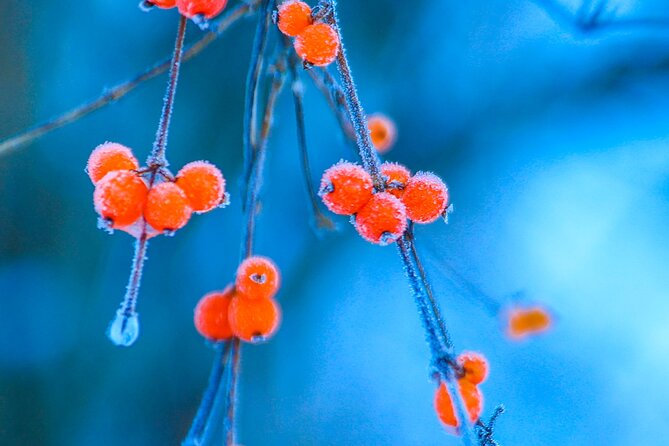 Classic 3-Day Jiuzhaigou Tour From Chengdu (Transport+Tickets) - Price and Inclusions