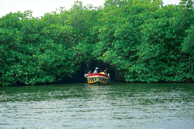 Coastal Ride to Galle From Balapitiya - Reservation and Payment Options