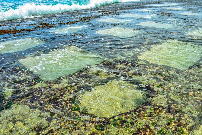 Coastal Ride to Galle From Wadduwa - Exploration of Galle Fort