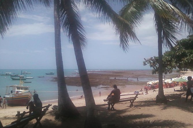 Coconut Coast and Praia Do Forte - the Famous Beaches - Meals and Refreshments Provided