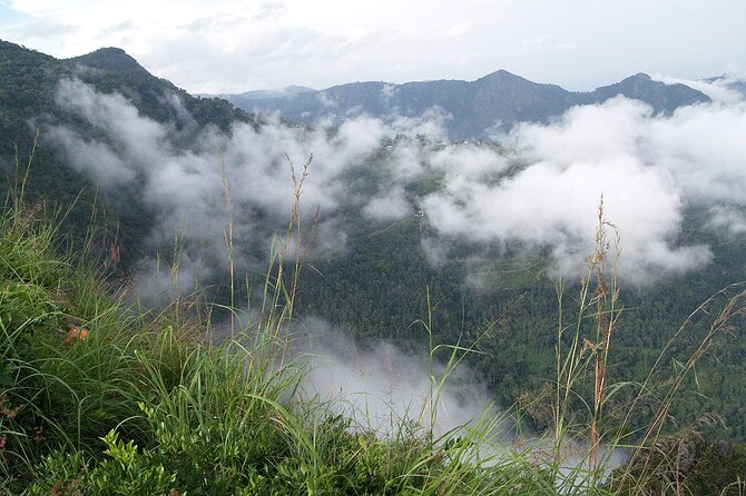 Coimbatore to Ooty- Transfers+Hotel+Sightseeing