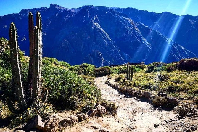 Colca Canyon Excursion One Day - Flexibility and Capacity
