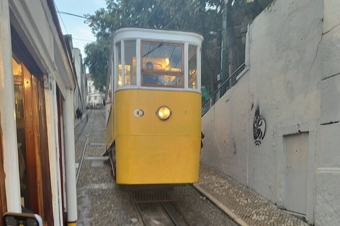 Combo Private Wine Tour With Street Arts in Lisbon - Tour Experience