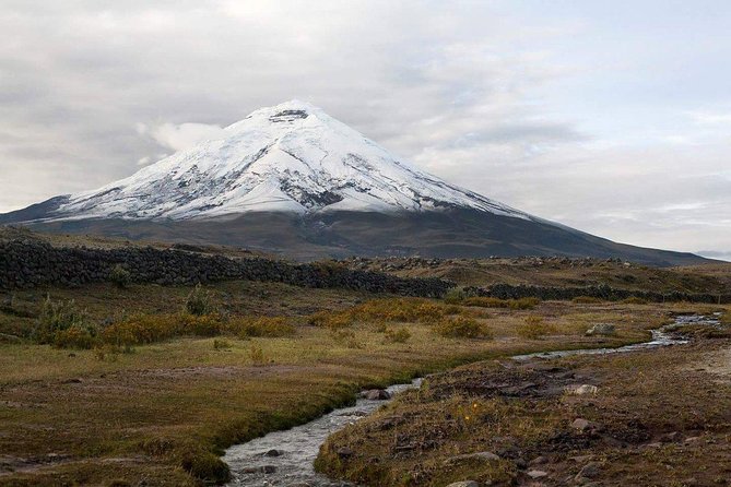 Cotopaxi National Reserve Bike and Hike Day-Trip - Additional Info