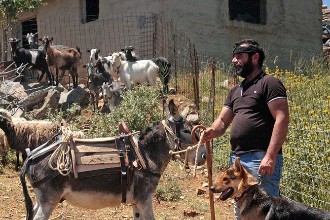 Cretan Odyssey: Immersive Cultural Journey to Shepherds Shelter - Additional Fees