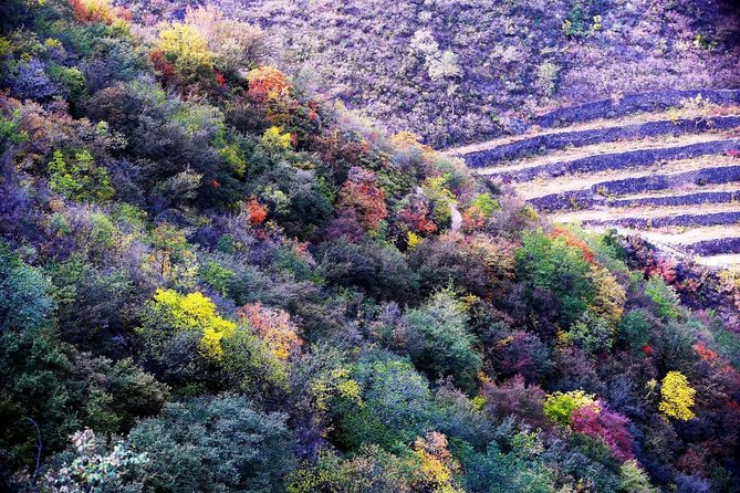 Cuandixia Old Village Day Trip With Private English Speaking Driver Transfer - Cancellation Policy