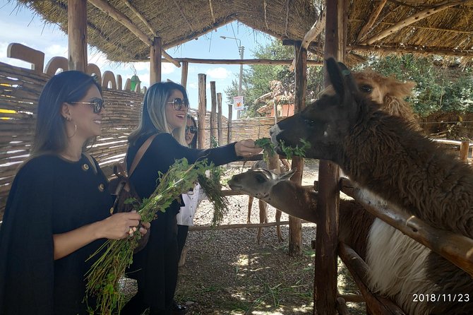 Cusco City Tour 1/2 Day - Booking and Confirmation Process