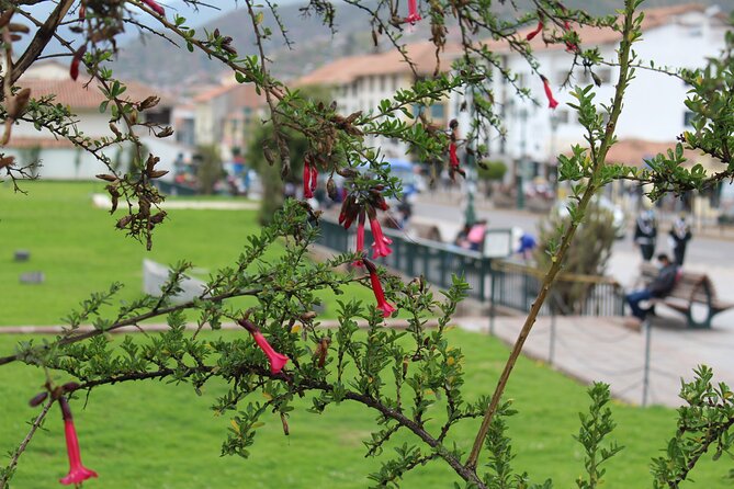 Cusco Cultural - Machu Picchu and Rainbow Mountain Tour - Rainbow Mountain Trek