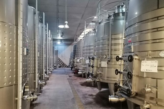 Dao Wine Route Experience, Full-Day From Coimbra - Important Notes