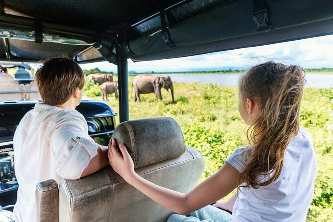 Day Excursions To Udawalawe National Park From Negombo - Booking & Pricing Details