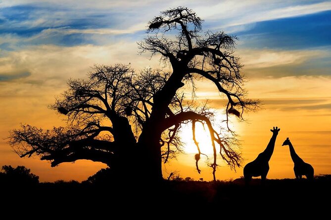 Day Safari Trip to Selous Game Reserve From Zanzibar - Additional Information