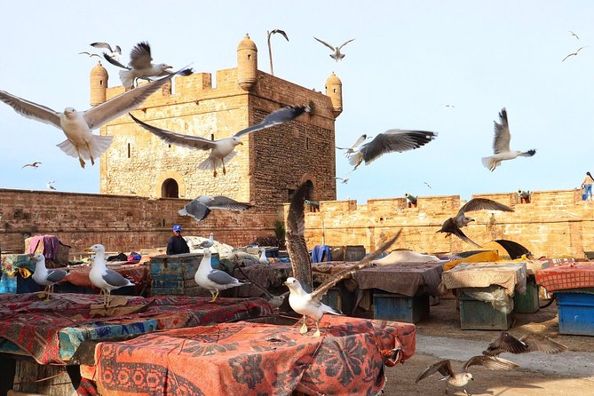 Day Tour From Marrakech to Atlantic Ocean and Essaouira Mogador - Itinerary Overview