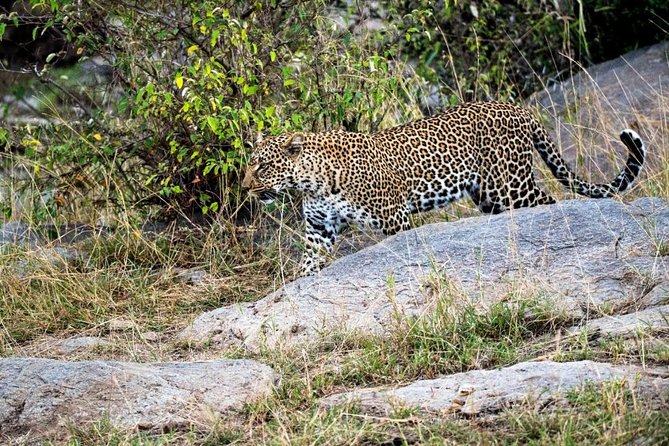 Day Tour in Arusha National Park - Cancellation Policy