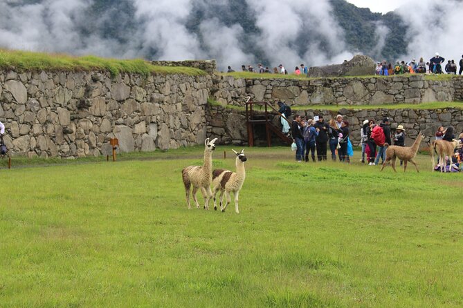 Day Tour Short Inca Trail to Machupicchu From Cusco - Inclusions and Experiences