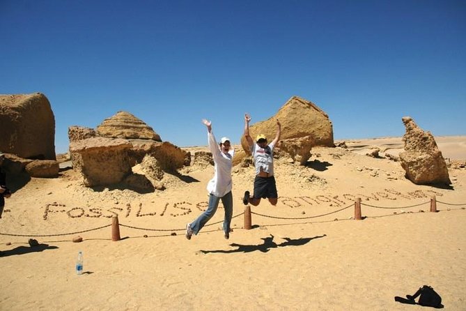 Day Tour to Al Fayoum From Cairo - Inclusions