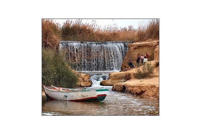 Day Tour To Fayoum Oasis From Cairo - Tour Details