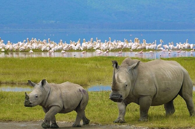 5 Best Boat Tours And Cruises In Maasai Mara National Reserve