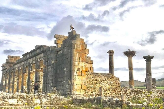 Day Tour to Meknes-Volubilis-Molay Idriss - Cancellation Policy