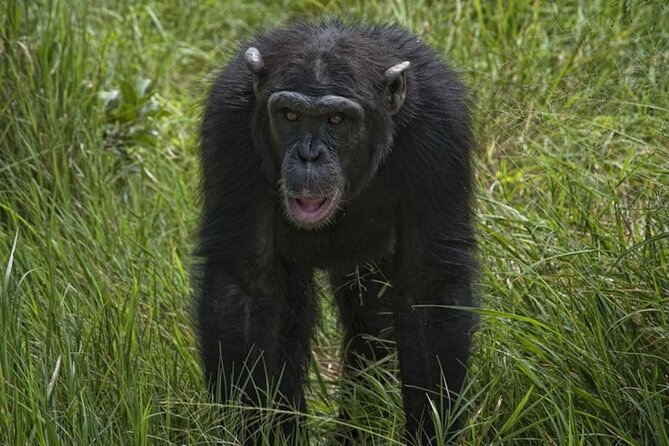 Day Tour to Ol Pejeta Conservancy