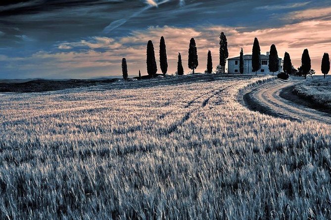 Day Trip From Florence: Deluxe Wine Tasting Tour in Montalcino - Private Tour - Booking Information