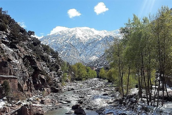 Day Trip From Marrakech to Ourika Valley Private Day Trip - Operator